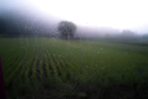 سخت‌سازی امنیتی زیرساخت