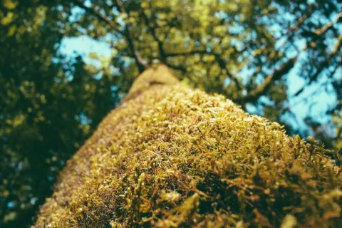 مجازی‌سازی مرکز داده