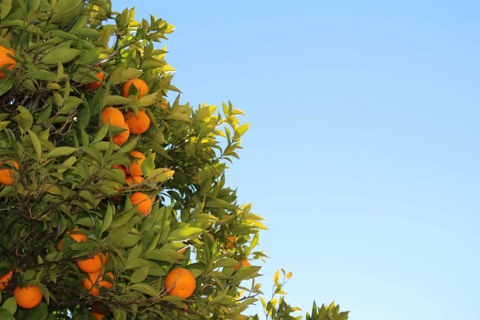 پیکربندی فایروال نسل جدید