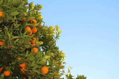 پیکربندی فایروال نسل جدید