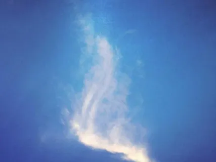 رک شبکه آزمایشگاه